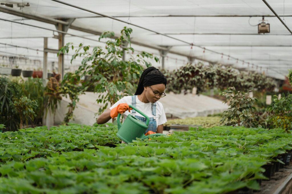 Woman watering plants in a greenhouse