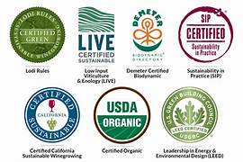 Organic tea for guest wellness in Canada