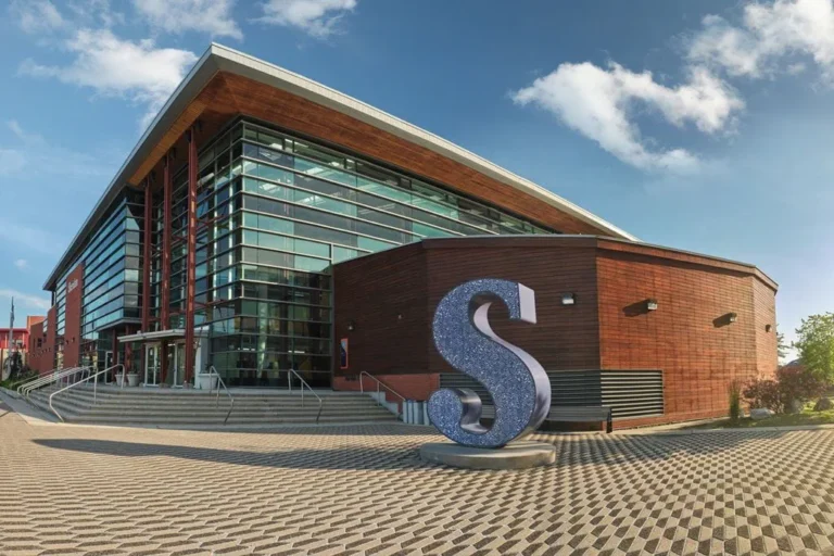 Modern building with large windows and a wooden exterior. A large metallic letter "S" sculpture is positioned in front on a patterned pavement.
