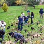 Sustainability Initiative (Davis Campus)